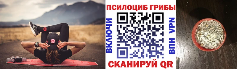 Псилоцибиновые грибы Psilocybe  Купить закладки  Балаково 